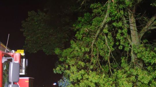 Nawałnica w powiecie krasnostawskim. Spadł grad wielkości piłeczek pingpongowych [GALERIA ZDJĘĆ]