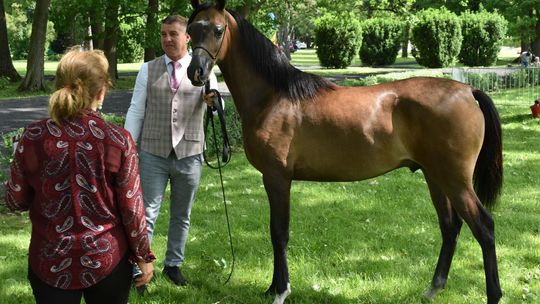 Bitwa Regionów w Białce. I etap smacznego konkursu rozstrzygnięty! [GALERIA ZDJĘĆ]