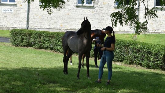 Bitwa Regionów w Białce. I etap smacznego konkursu rozstrzygnięty! [GALERIA ZDJĘĆ]