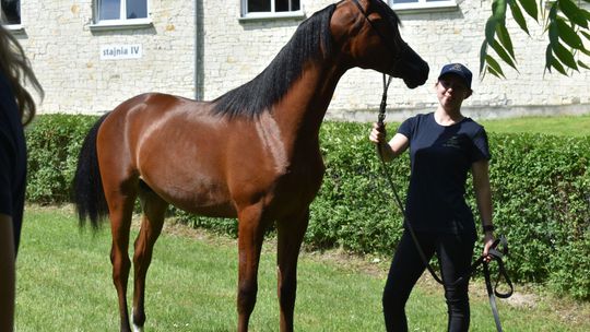 Bitwa Regionów w Białce. I etap smacznego konkursu rozstrzygnięty! [GALERIA ZDJĘĆ]