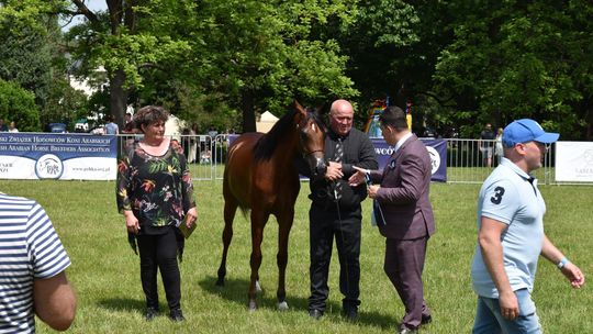 Bitwa Regionów w Białce. I etap smacznego konkursu rozstrzygnięty! [GALERIA ZDJĘĆ]