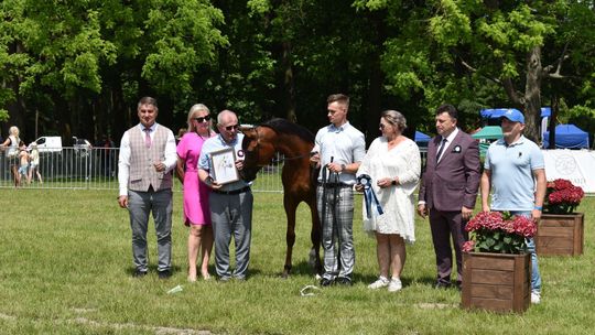 Bitwa Regionów w Białce. I etap smacznego konkursu rozstrzygnięty! [GALERIA ZDJĘĆ]