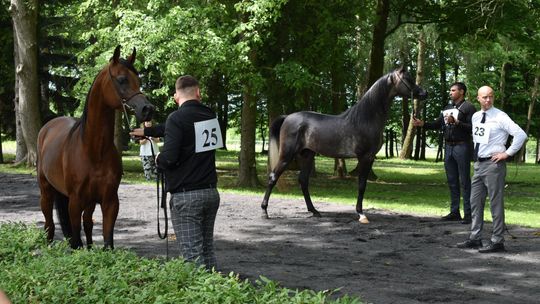 Bitwa Regionów w Białce. I etap smacznego konkursu rozstrzygnięty! [GALERIA ZDJĘĆ]
