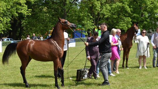 Bitwa Regionów w Białce. I etap smacznego konkursu rozstrzygnięty! [GALERIA ZDJĘĆ]