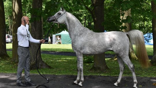 Bitwa Regionów w Białce. I etap smacznego konkursu rozstrzygnięty! [GALERIA ZDJĘĆ]