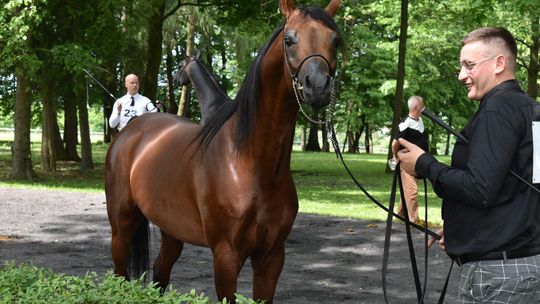 Bitwa Regionów w Białce. I etap smacznego konkursu rozstrzygnięty! [GALERIA ZDJĘĆ]