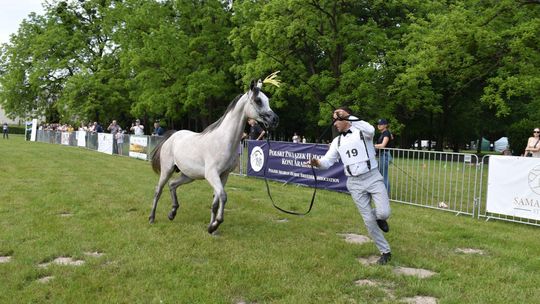 Bitwa Regionów w Białce. I etap smacznego konkursu rozstrzygnięty! [GALERIA ZDJĘĆ]