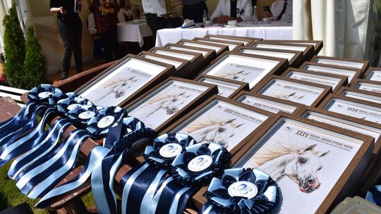 Bitwa Regionów w Białce. I etap smacznego konkursu rozstrzygnięty! [GALERIA ZDJĘĆ]