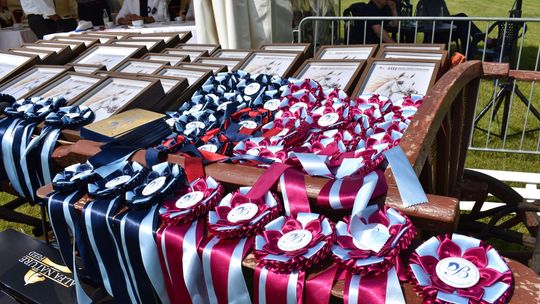 Bitwa Regionów w Białce. I etap smacznego konkursu rozstrzygnięty! [GALERIA ZDJĘĆ]