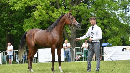 Bitwa Regionów w Białce. I etap smacznego konkursu rozstrzygnięty! [GALERIA ZDJĘĆ]