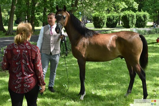 Bitwa Regionów w Białce. I etap smacznego konkursu rozstrzygnięty! [GALERIA ZDJĘĆ]