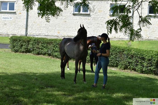 Bitwa Regionów w Białce. I etap smacznego konkursu rozstrzygnięty! [GALERIA ZDJĘĆ]
