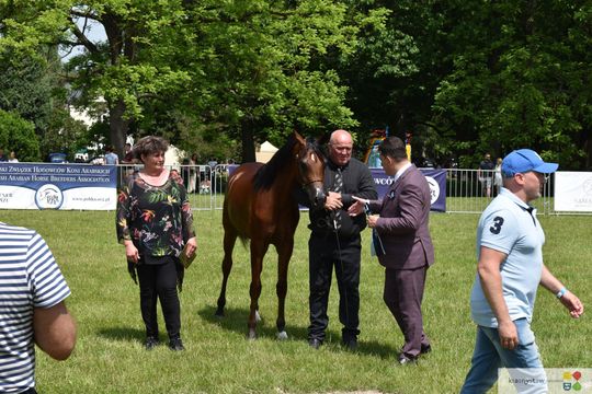 Bitwa Regionów w Białce. I etap smacznego konkursu rozstrzygnięty! [GALERIA ZDJĘĆ]