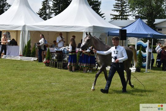 Bitwa Regionów w Białce. I etap smacznego konkursu rozstrzygnięty! [GALERIA ZDJĘĆ]