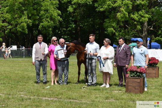 Bitwa Regionów w Białce. I etap smacznego konkursu rozstrzygnięty! [GALERIA ZDJĘĆ]