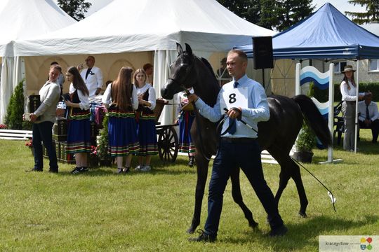 Bitwa Regionów w Białce. I etap smacznego konkursu rozstrzygnięty! [GALERIA ZDJĘĆ]