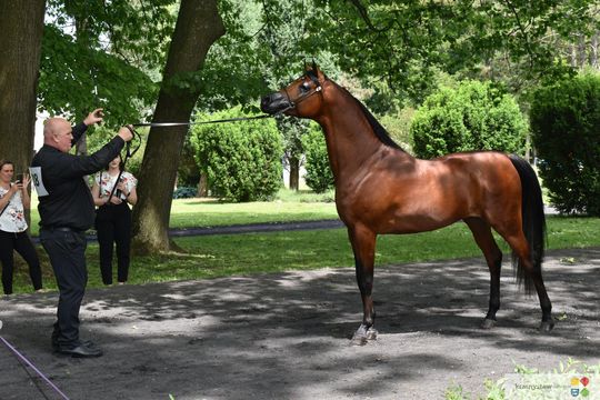 Bitwa Regionów w Białce. I etap smacznego konkursu rozstrzygnięty! [GALERIA ZDJĘĆ]