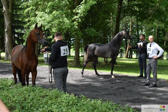 Bitwa Regionów w Białce. I etap smacznego konkursu rozstrzygnięty! [GALERIA ZDJĘĆ]