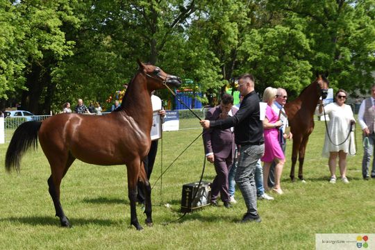 Bitwa Regionów w Białce. I etap smacznego konkursu rozstrzygnięty! [GALERIA ZDJĘĆ]