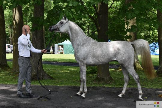 Bitwa Regionów w Białce. I etap smacznego konkursu rozstrzygnięty! [GALERIA ZDJĘĆ]