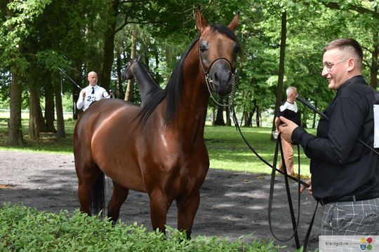 Bitwa Regionów w Białce. I etap smacznego konkursu rozstrzygnięty! [GALERIA ZDJĘĆ]