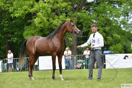 Bitwa Regionów w Białce. I etap smacznego konkursu rozstrzygnięty! [GALERIA ZDJĘĆ]