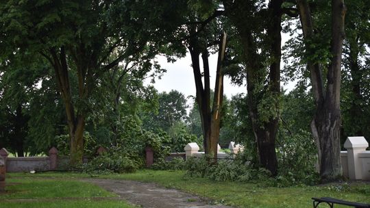 Pow. włodawski. Armagedon w Różańce. Wichura zrywała dachy, powalała drzewa [ZDJĘCIA]