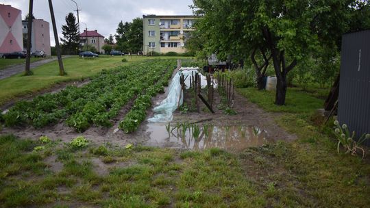 Pow. włodawski. Armagedon w Różańce. Wichura zrywała dachy, powalała drzewa [ZDJĘCIA]