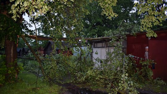 Pow. włodawski. Armagedon w Różańce. Wichura zrywała dachy, powalała drzewa [ZDJĘCIA]