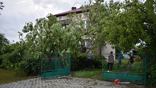 Pow. włodawski. Armagedon w Różańce. Wichura zrywała dachy, powalała drzewa [ZDJĘCIA]
