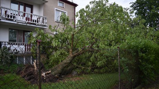 Pow. włodawski. Armagedon w Różańce. Wichura zrywała dachy, powalała drzewa [ZDJĘCIA]