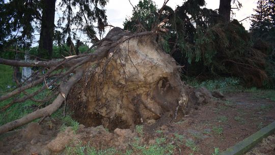 Pow. włodawski. Armagedon w Różańce. Wichura zrywała dachy, powalała drzewa [ZDJĘCIA]