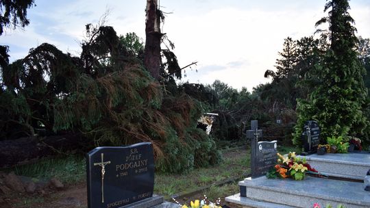 Pow. włodawski. Armagedon w Różańce. Wichura zrywała dachy, powalała drzewa [ZDJĘCIA]