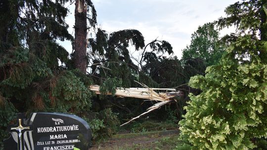Pow. włodawski. Armagedon w Różańce. Wichura zrywała dachy, powalała drzewa [ZDJĘCIA]