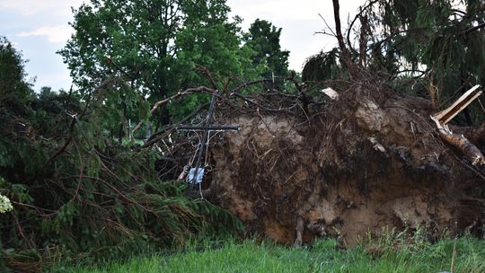 Pow. włodawski. Armagedon w Różańce. Wichura zrywała dachy, powalała drzewa [ZDJĘCIA]