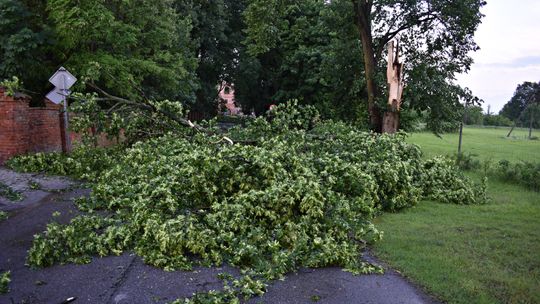 Pow. włodawski. Armagedon w Różańce. Wichura zrywała dachy, powalała drzewa [ZDJĘCIA]