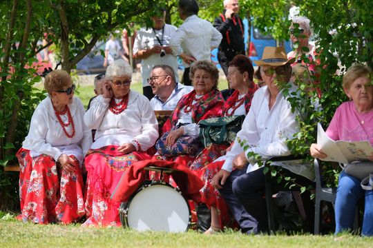 III Powiatowy Festiwal Piosenki Biesiadnej i Święto Rodzin Zastępczych w Nowinach [GALERIA ZDJĘĆ]