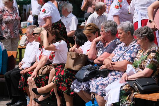 III Powiatowy Festiwal Piosenki Biesiadnej i Święto Rodzin Zastępczych w Nowinach [GALERIA ZDJĘĆ]