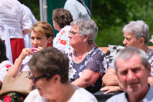 III Powiatowy Festiwal Piosenki Biesiadnej i Święto Rodzin Zastępczych w Nowinach [GALERIA ZDJĘĆ]