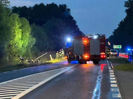 Na trasie Okuninka–Włodawa auto wypadło z drogi [ZDJĘCIA]