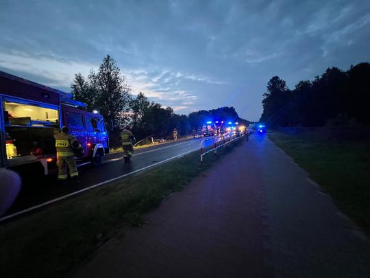 Na trasie Okuninka–Włodawa auto wypadło z drogi [ZDJĘCIA]