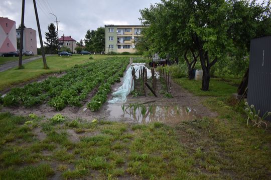 Pow. włodawski. Armagedon w Różańce. Wichura zrywała dachy, powalała drzewa [ZDJĘCIA]
