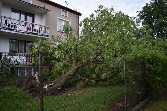 Pow. włodawski. Armagedon w Różańce. Wichura zrywała dachy, powalała drzewa [ZDJĘCIA]