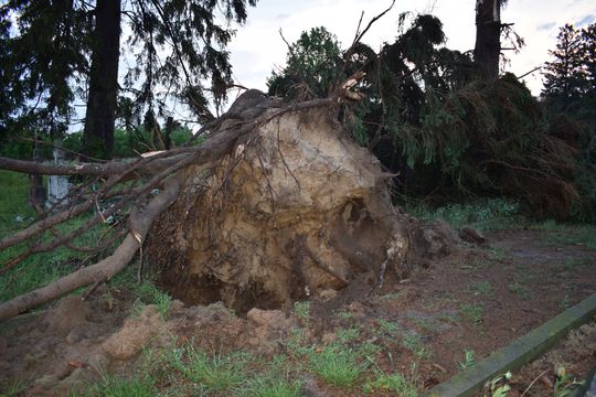 Pow. włodawski. Armagedon w Różańce. Wichura zrywała dachy, powalała drzewa [ZDJĘCIA]