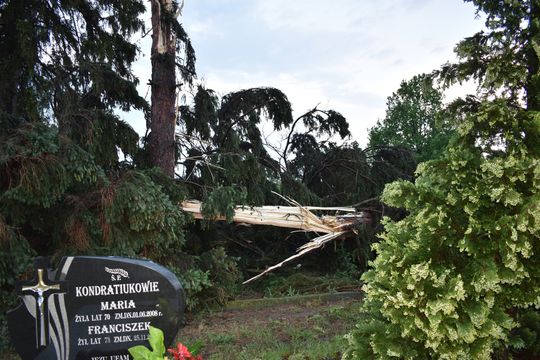 Pow. włodawski. Armagedon w Różańce. Wichura zrywała dachy, powalała drzewa [ZDJĘCIA]