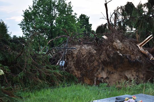 Pow. włodawski. Armagedon w Różańce. Wichura zrywała dachy, powalała drzewa [ZDJĘCIA]