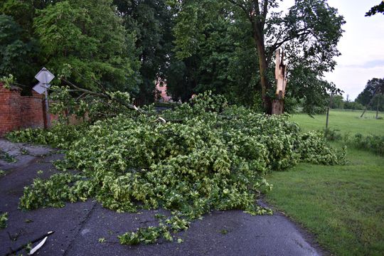 Pow. włodawski. Armagedon w Różańce. Wichura zrywała dachy, powalała drzewa [ZDJĘCIA]