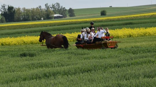 Gm. Łopiennik Górny. Uroczyste "Zielone Świątki" [GALERIA ZDJĘĆ]