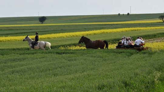 Gm. Łopiennik Górny. Uroczyste "Zielone Świątki" [GALERIA ZDJĘĆ]