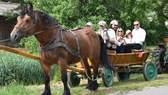 Gm. Łopiennik Górny. Uroczyste "Zielone Świątki" [GALERIA ZDJĘĆ]